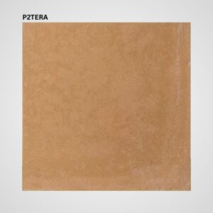 P2TERA