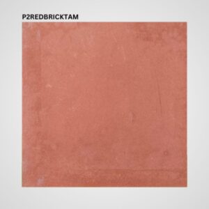 P2REDBRICKTAM