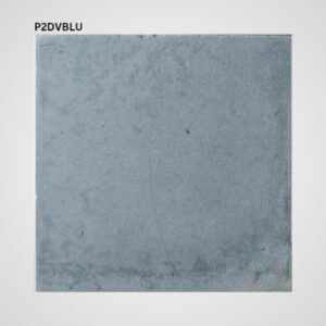 P2DVBLU